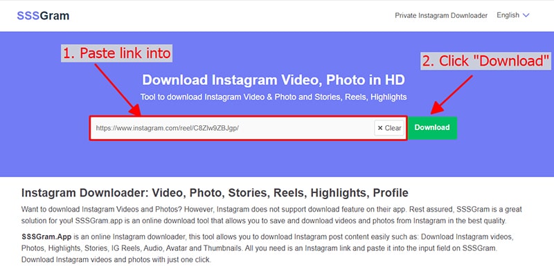 Vložte odkaz na Instagram do SaveVideo
